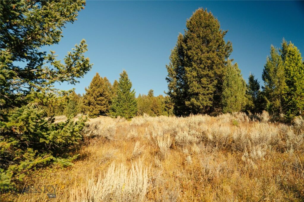 Lot 5 Upper Whitefish Drive, Big Sky MT 59716