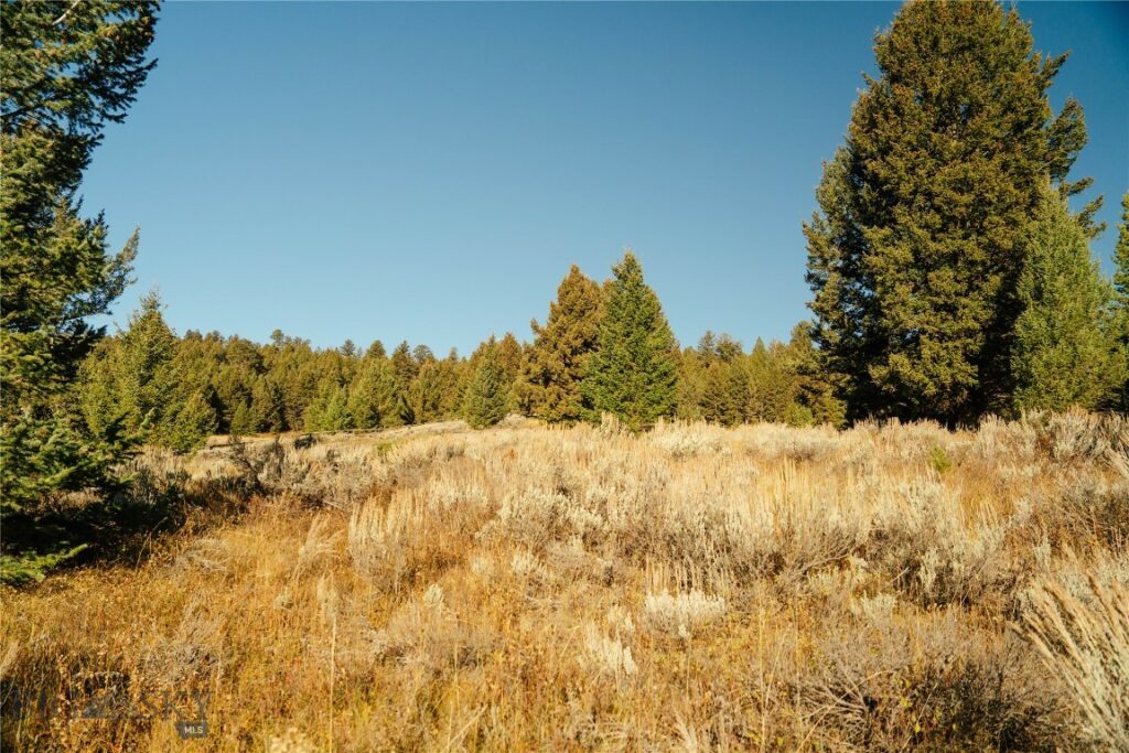 Lot 5 Upper Whitefish Drive, Big Sky MT 59716