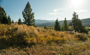 Lot 5 Upper Whitefish Drive, Big Sky MT 59716
