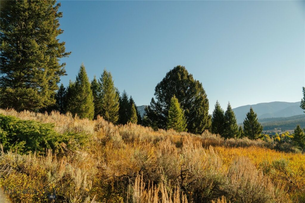 Lot 5 Upper Whitefish Drive, Big Sky MT 59716