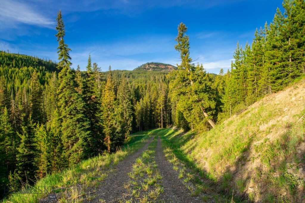 Lot 7 Trout Pond Lane, Big Sky MT 59716