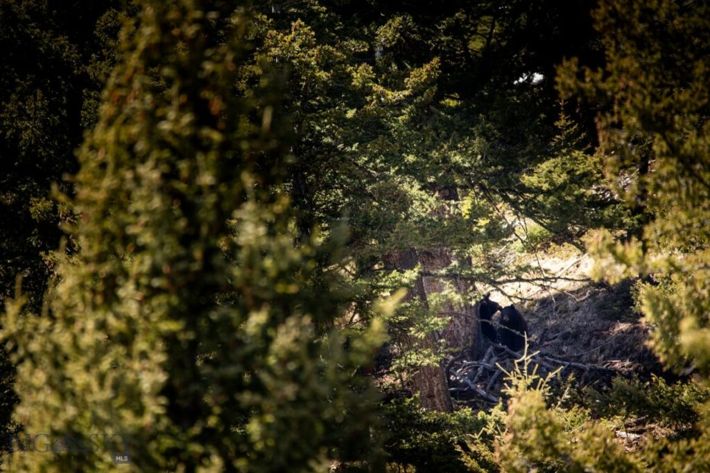 Lot 7 Trout Pond Lane, Big Sky MT 59716