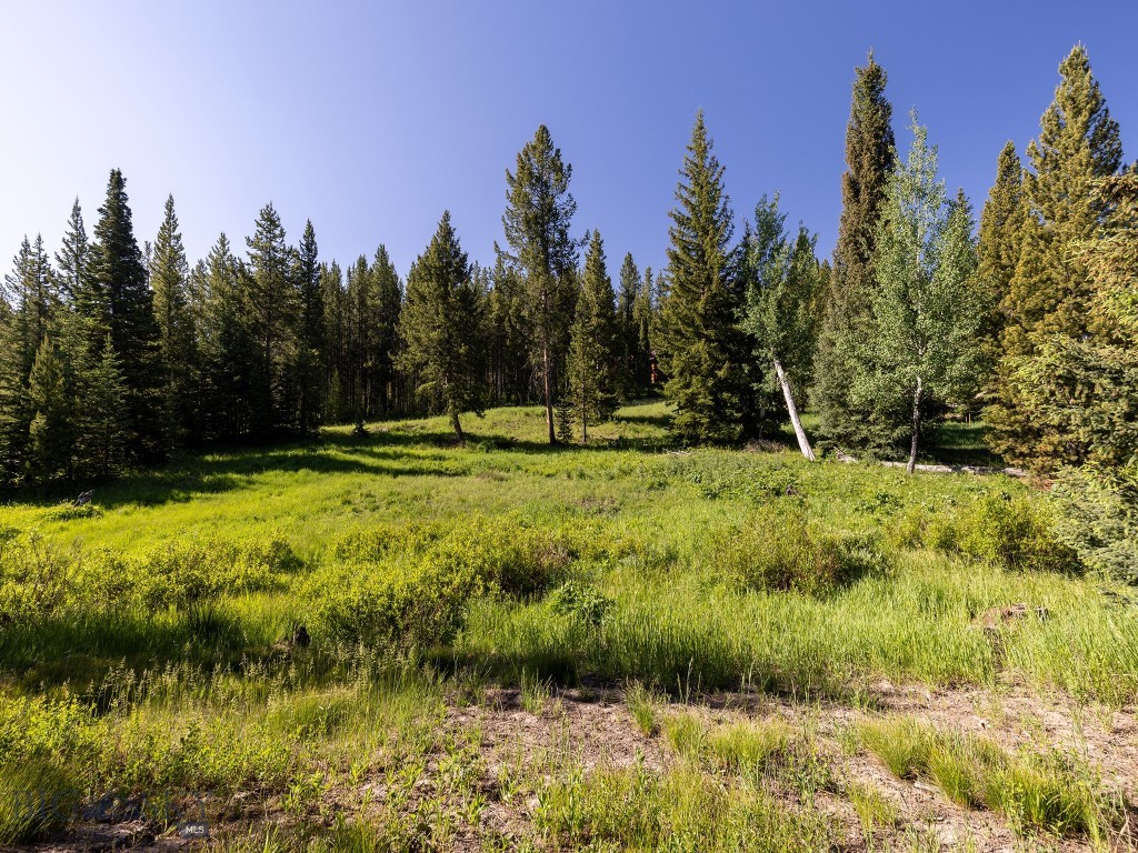 TBD Gray Owl Lane, Big Sky MT 59716