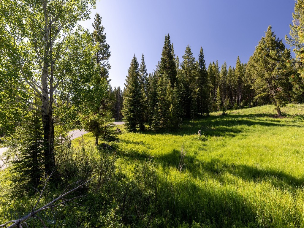 TBD Gray Owl Lane, Big Sky MT 59716