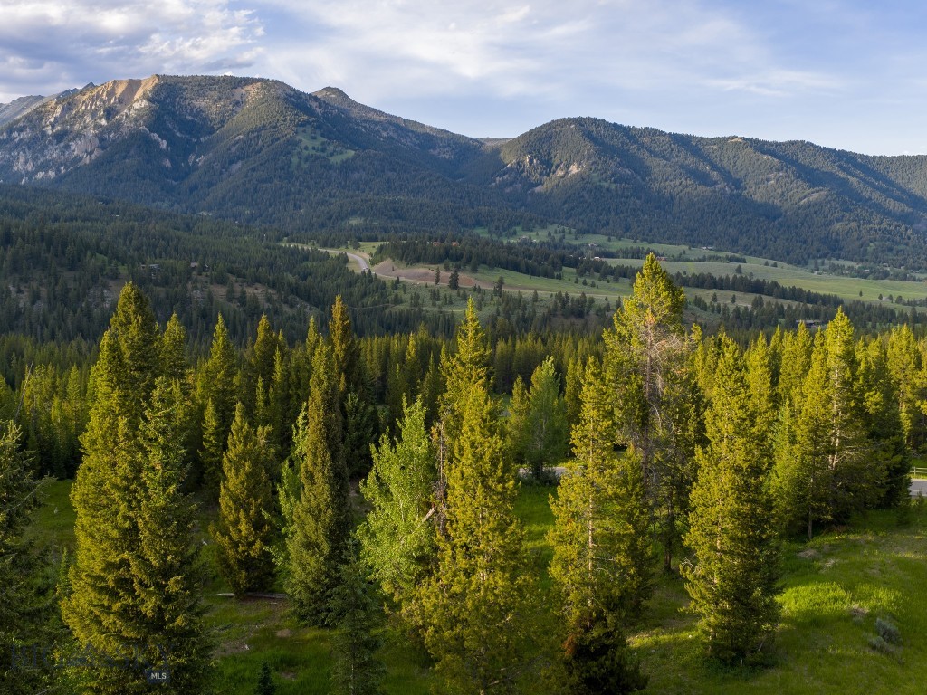 TBD Gray Owl Lane, Big Sky MT 59716