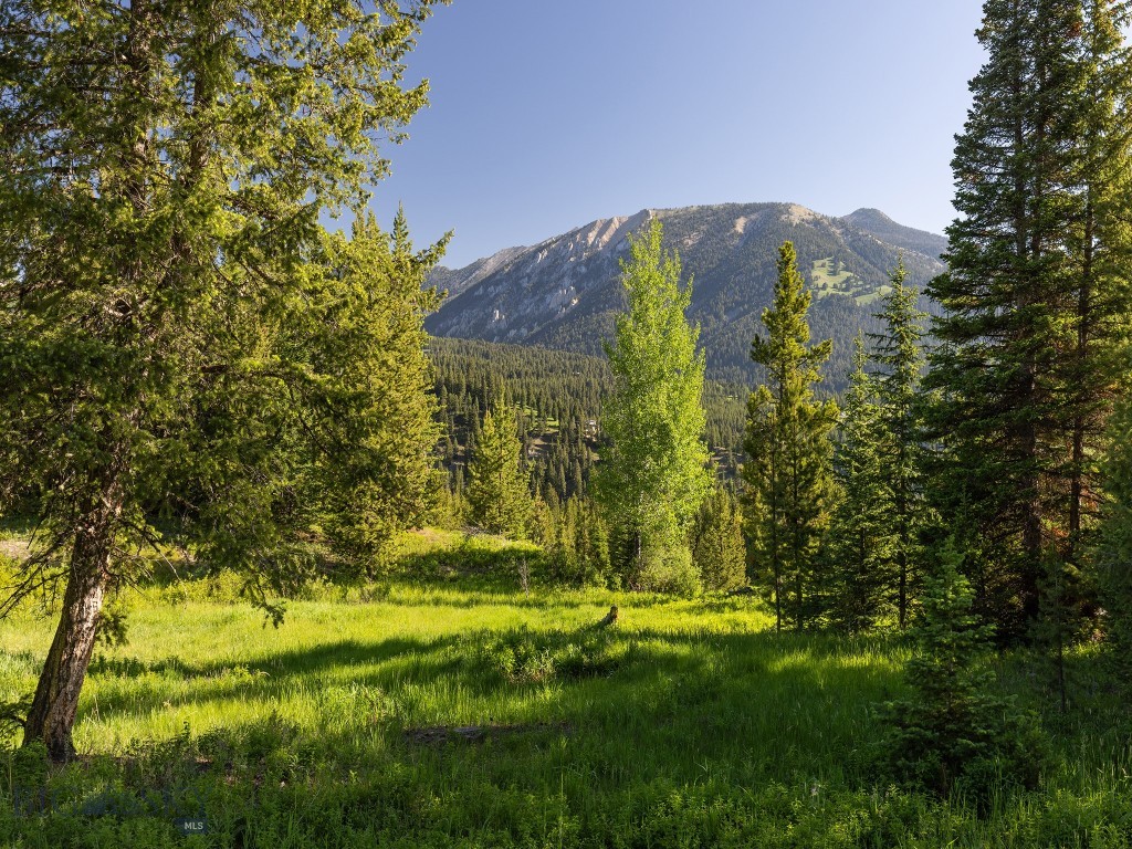 TBD Gray Owl Lane, Big Sky MT 59716