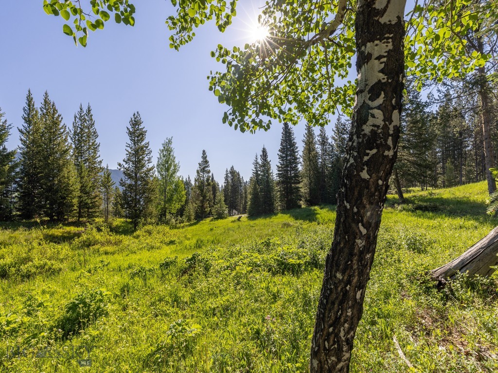 TBD Gray Owl Lane, Big Sky MT 59716