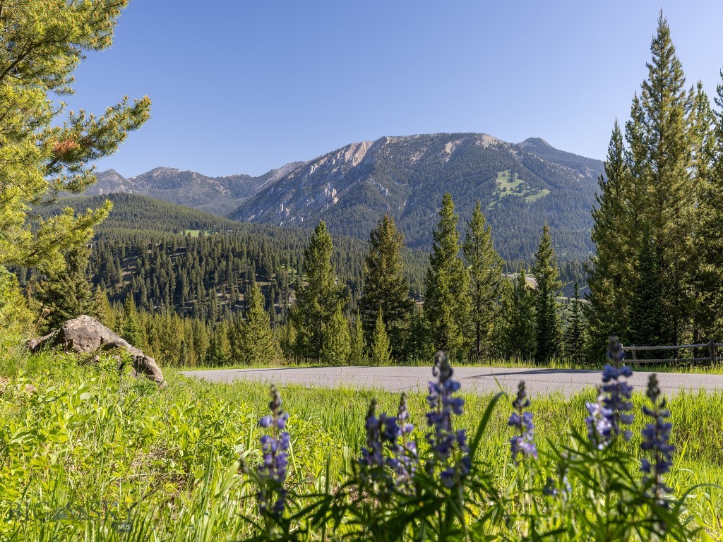 TBD Gray Owl Lane, Big Sky MT 59716