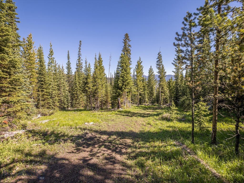 TBD Bear Den Court Road, Big Sky MT 59716