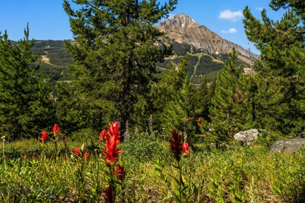 TBD Beehive Basin Lot 132A-1 Road, Big Sky MT 59716