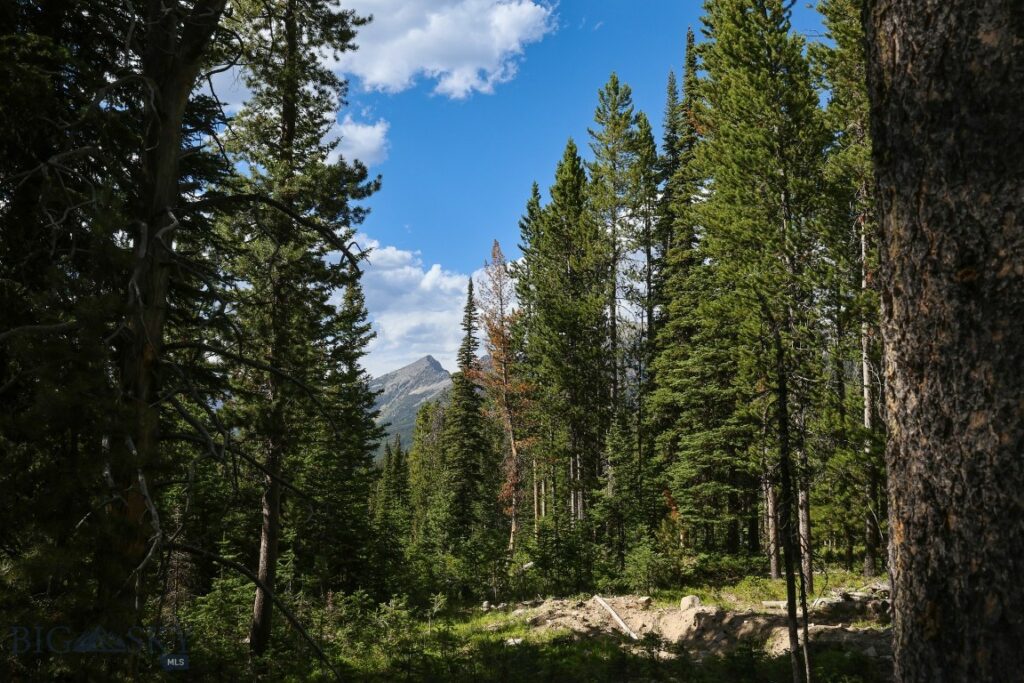 TBD Beehive Basin Road, Big Sky MT 59716