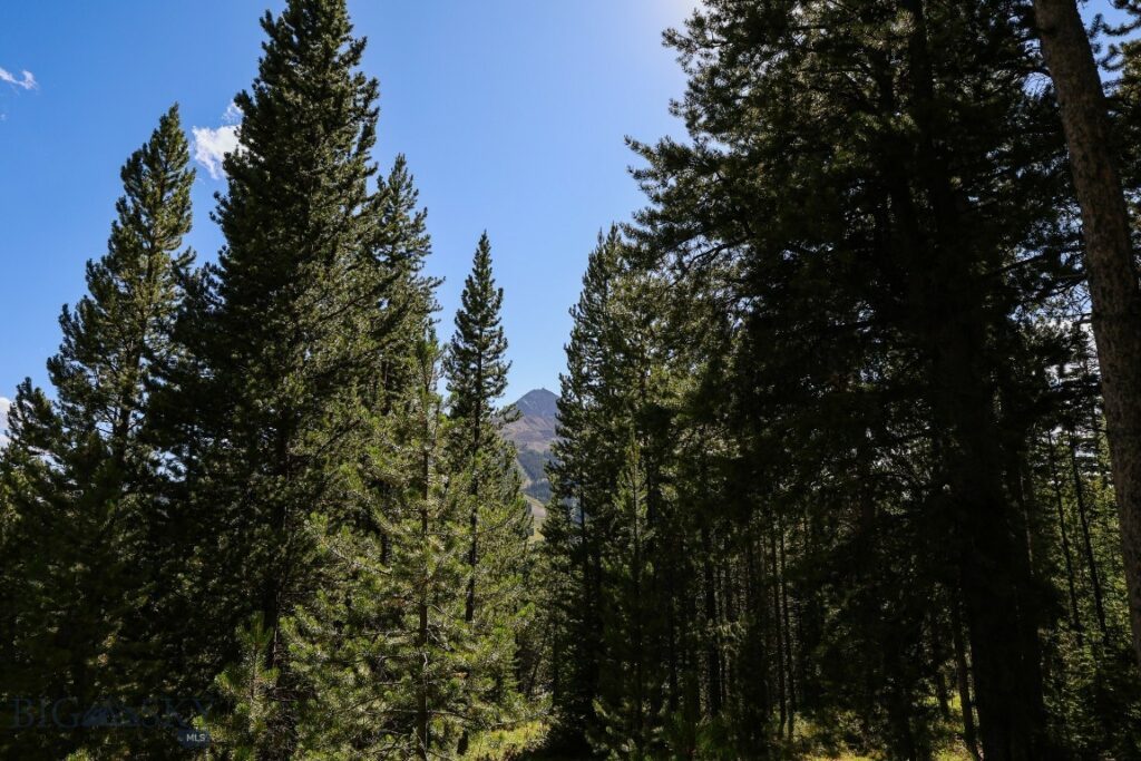 TBD Beehive Basin Road, Big Sky MT 59716