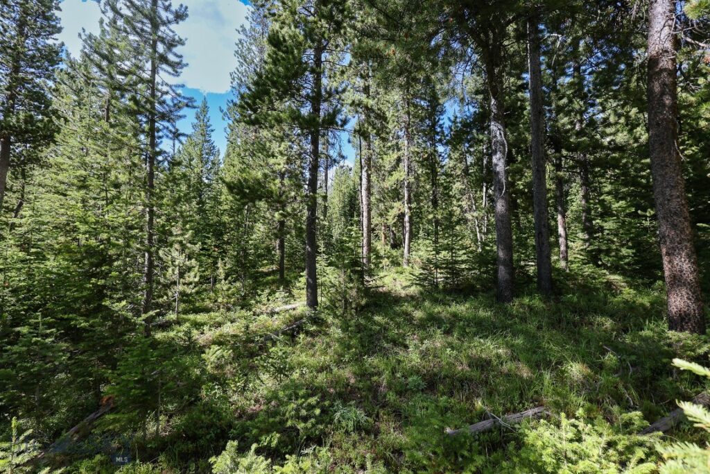 TBD Beehive Basin Road, Big Sky MT 59716