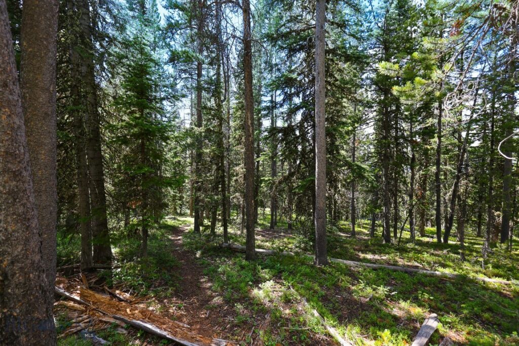 TBD Beehive Basin Road, Big Sky MT 59716