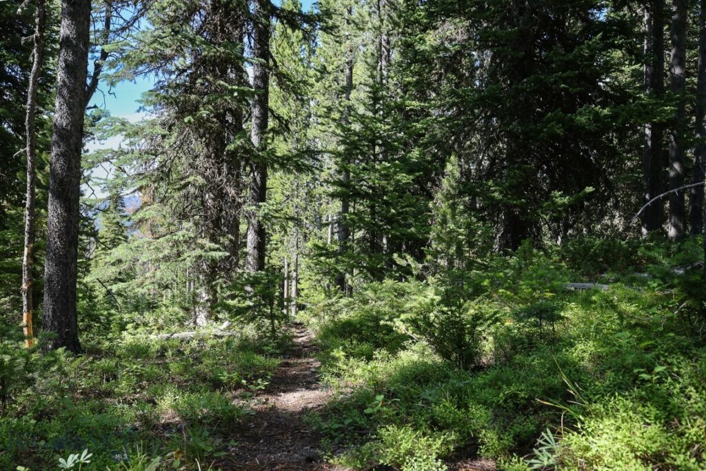 TBD Beehive Basin Road, Big Sky MT 59716