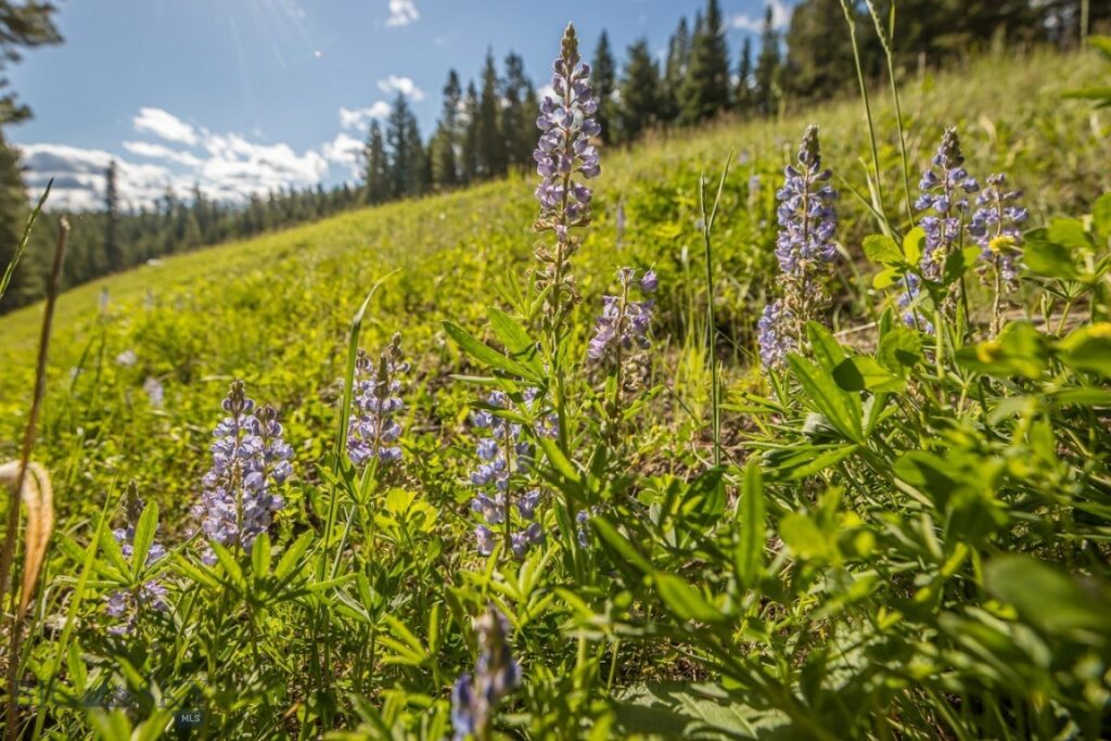 TBD Bitterbrush Road, Lot 42, Big Sky MT 59716