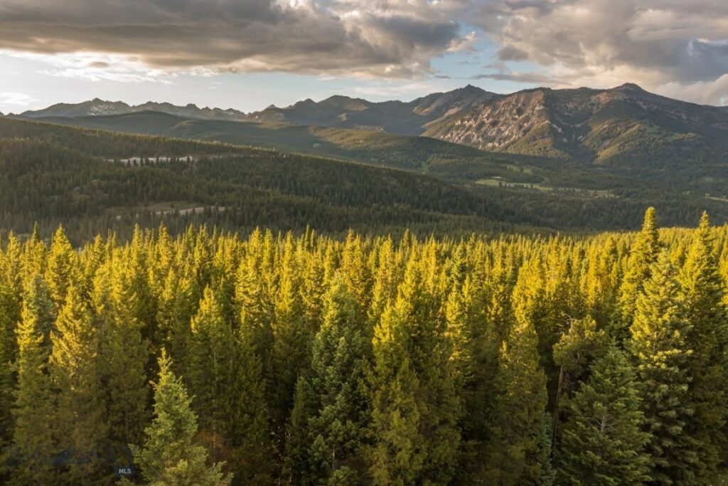 TBD Bitterbrush Road, Lot 42, Big Sky MT 59716