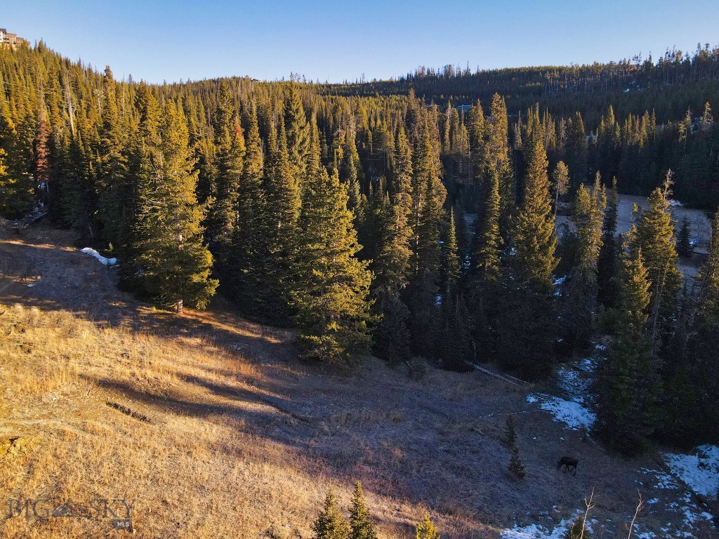 TBD Cheyenne Road, Big Sky MT 59716