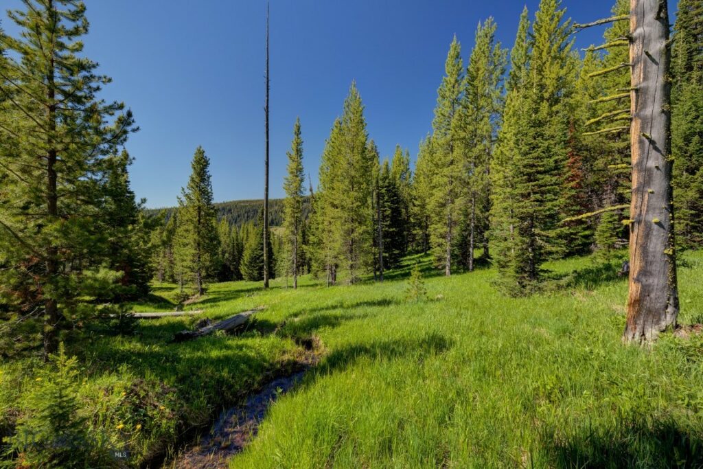 TBD Ciel Drive, Lot 1, Big Sky MT 59716