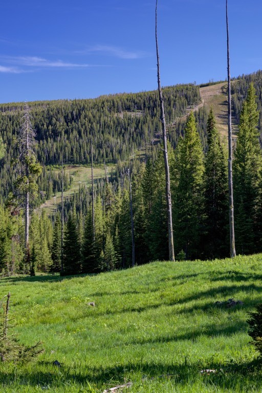 TBD Ciel Drive, Lot 1, Big Sky MT 59716
