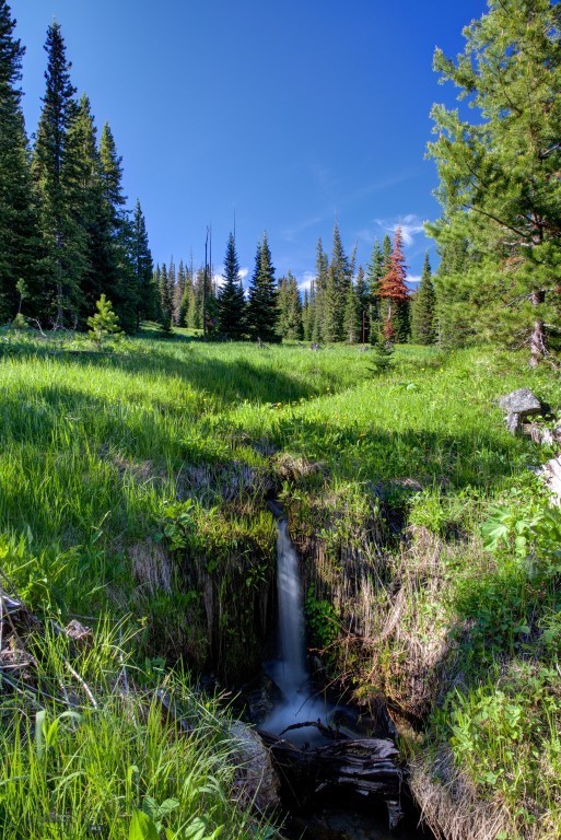 TBD Ciel Drive, Lot 1, Big Sky MT 59716