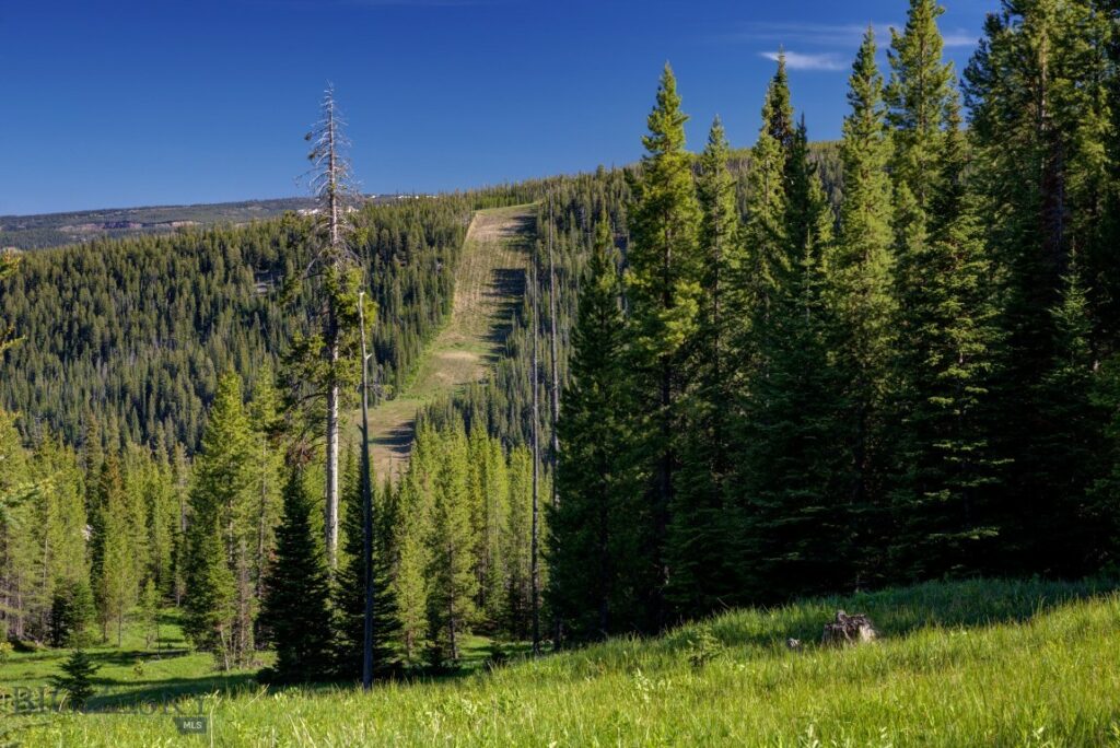 TBD Ciel Drive, Lot 1, Big Sky MT 59716