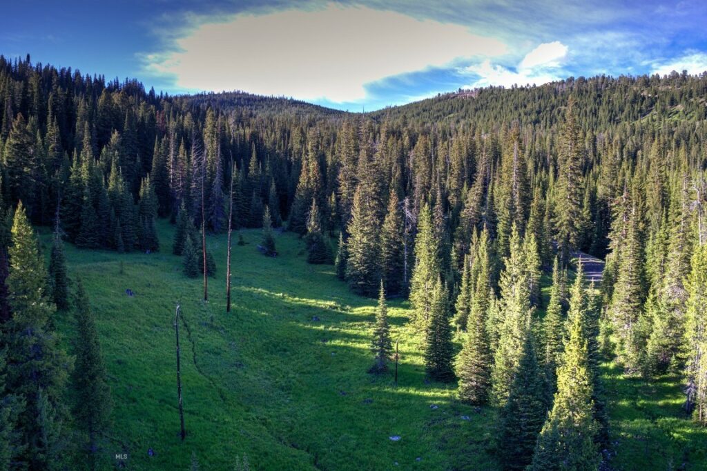 TBD Ciel Drive, Lot 1, Big Sky MT 59716