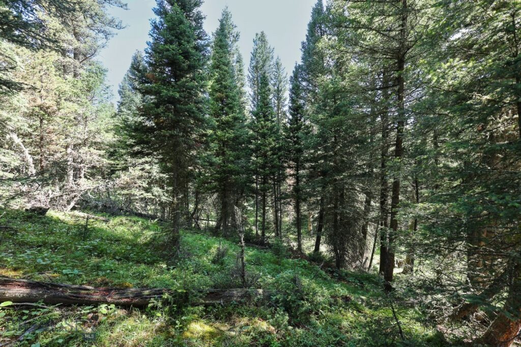 tbd Crown Butte – SPMC Ranch Lot 89, Big Sky MT 59716