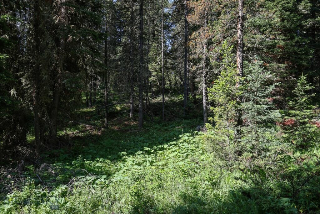 tbd Crown Butte – SPMC Ranch Lot 89, Big Sky MT 59716