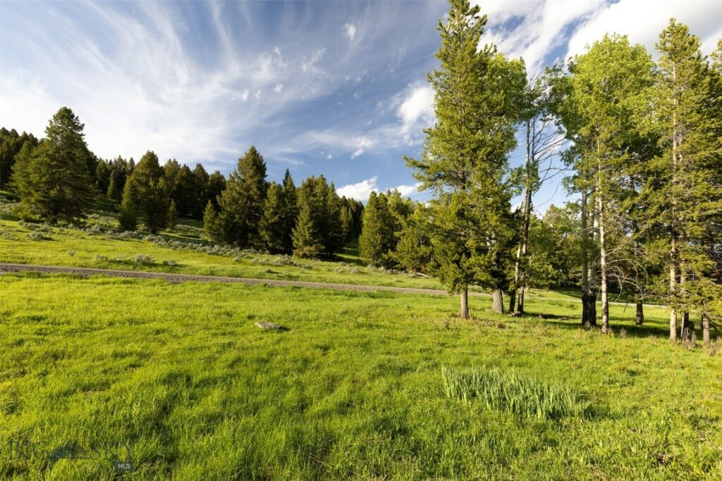 TBD Crown Butte, SPMC Lot 99, Big Sky MT 59716