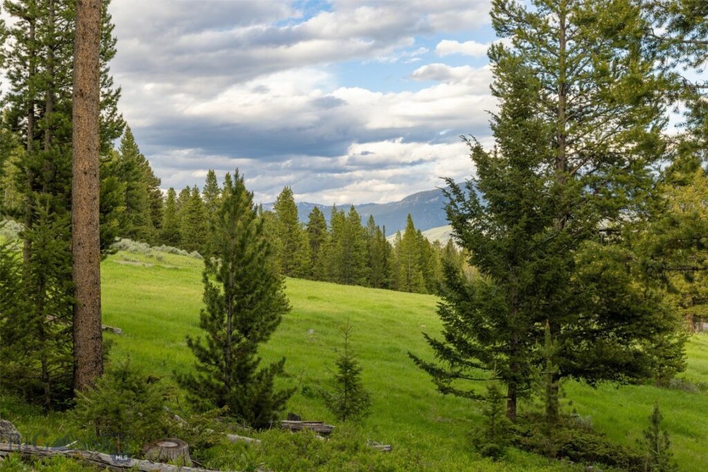 TBD Crown Butte, SPMC Lot 99, Big Sky MT 59716