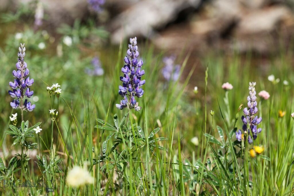 tbd Crown Butte – SPMC Ranch Lot 89, Big Sky MT 59716