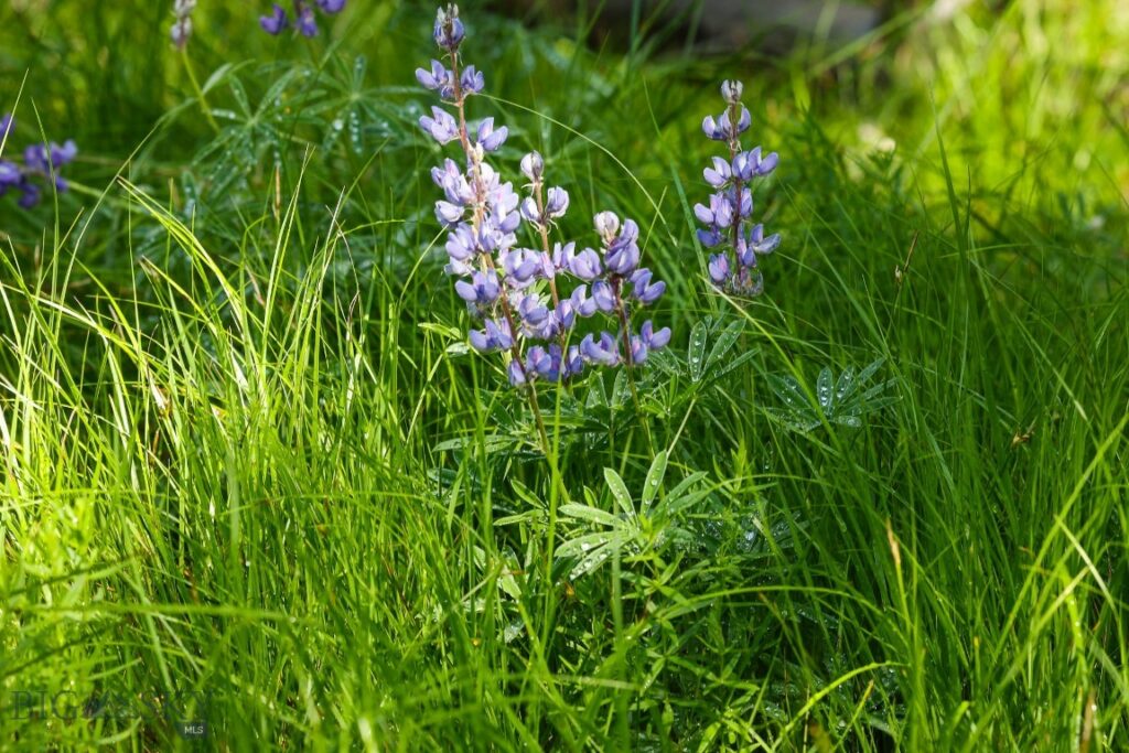 tbd Crown Butte – SPMC Ranch Lot 89, Big Sky MT 59716