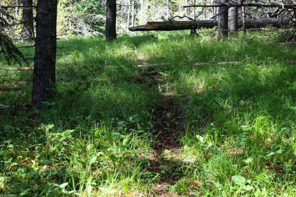 tbd Crown Butte – SPMC Ranch Lot 89, Big Sky MT 59716