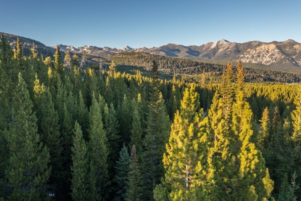 TBD Eagle View Trail, Big Sky MT 59716