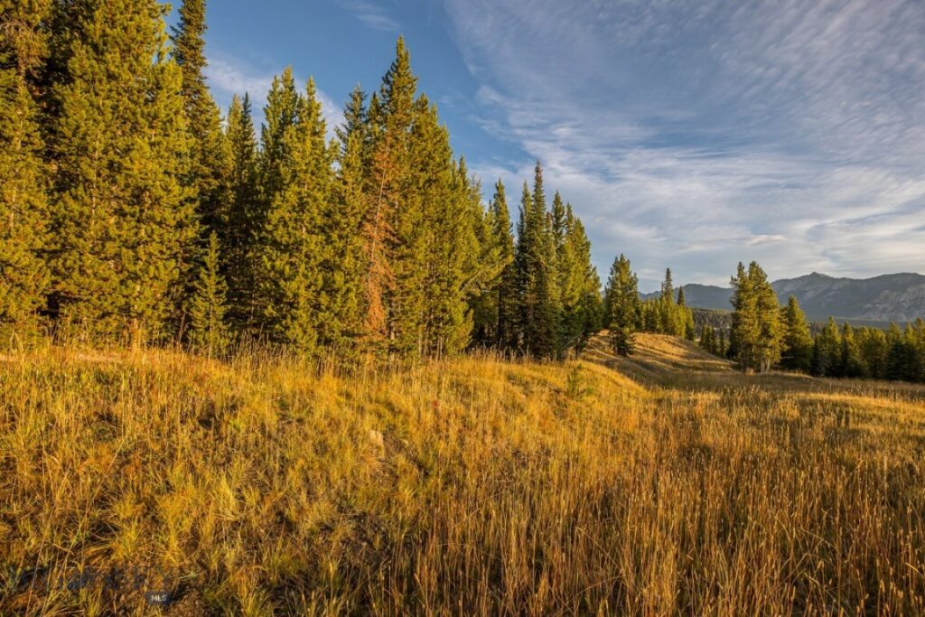 TBD Eagle View Trail, Big Sky MT 59716