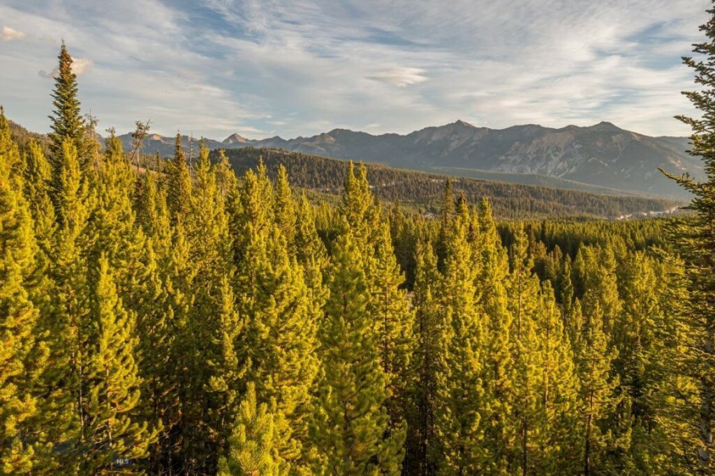 TBD Eagle View Trail, Big Sky MT 59716