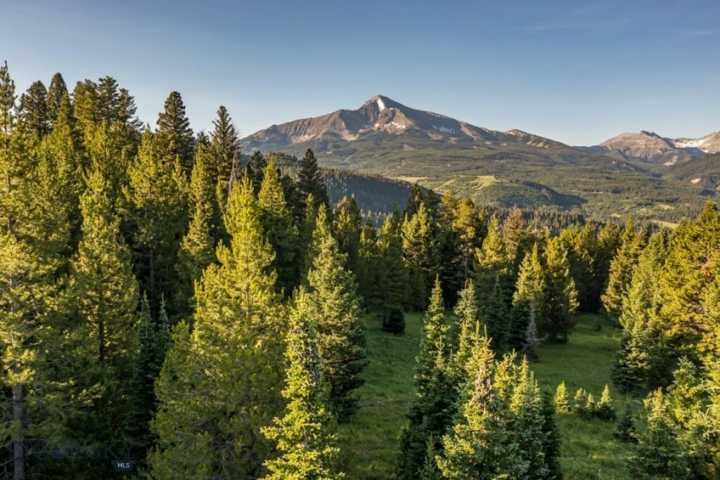 TBD Jack Creek Road, Moonlight Territory Parcel 2, Big Sky MT 59729