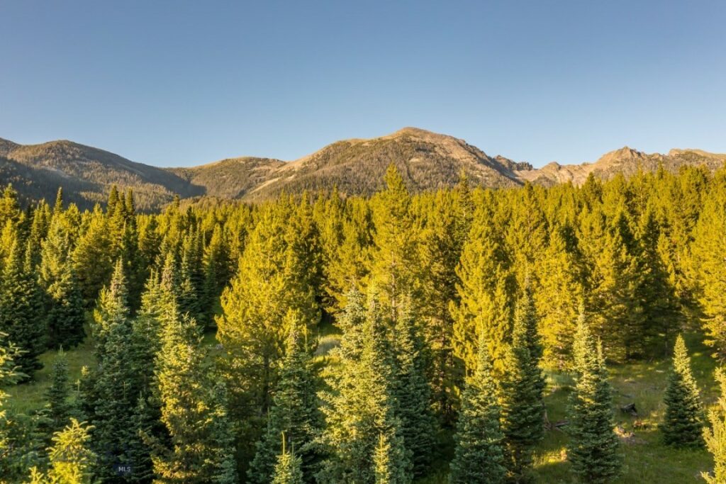 TBD Jack Creek Road, Moonlight Territory Parcel 2, Big Sky MT 59729