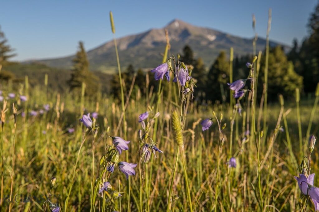 TBD Jack Creek Road, Moonlight Territory Parcel 2, Big Sky MT 59729