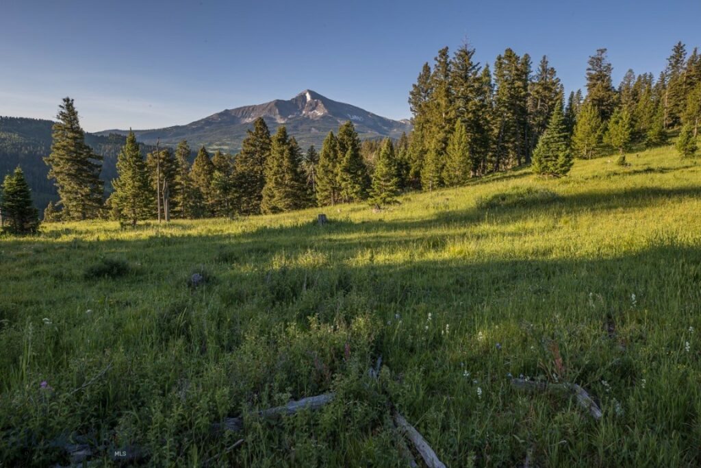 TBD Jack Creek Road, Moonlight Territory Parcel 2, Big Sky MT 59729