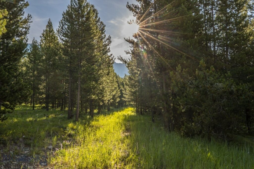 TBD Jack Creek Road, Moonlight Territory Parcel 2, Big Sky MT 59729