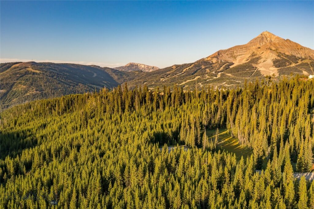 TBD Joy Road, Big Sky MT 59716