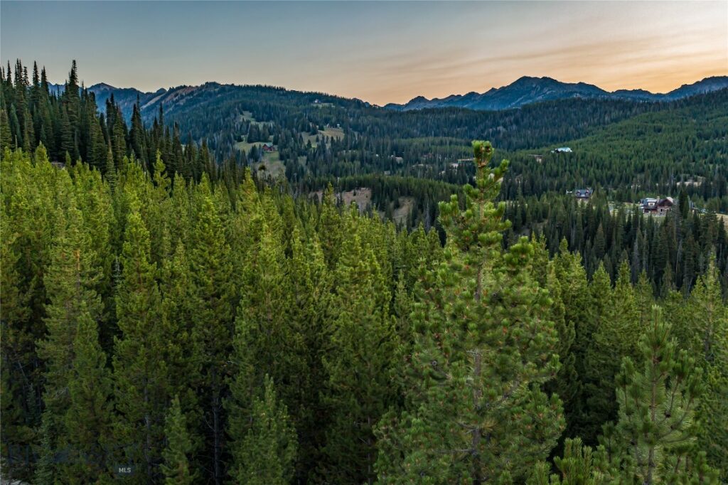 TBD Joy Road, Big Sky MT 59716
