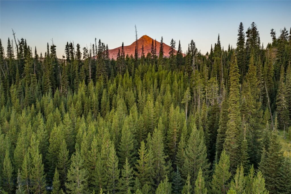 TBD Joy Road, Big Sky MT 59716