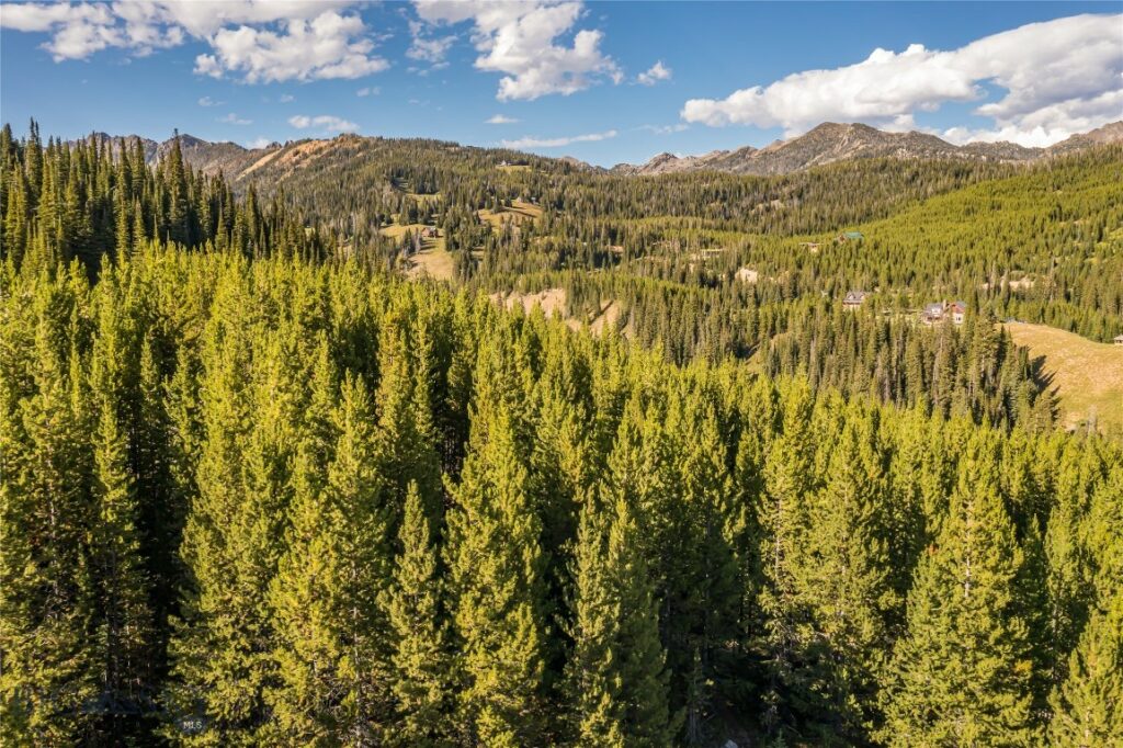TBD Joy Road, Big Sky MT 59716