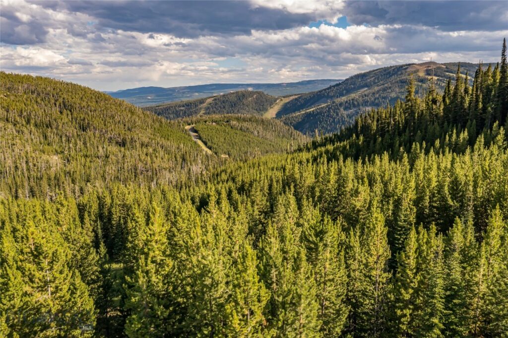 TBD Joy Road, Big Sky MT 59716