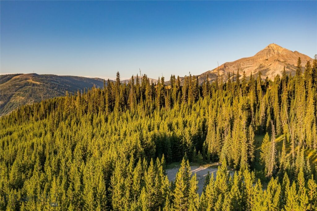 TBD Joy Road, Big Sky MT 59716