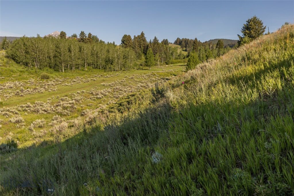 TBD Little Coyote, Big Sky MT 59716