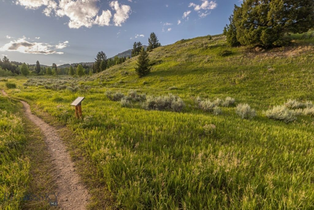 TBD Little Coyote, Big Sky MT 59716